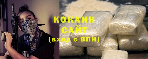 соль ск Алексин