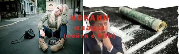 соль ск Алексин