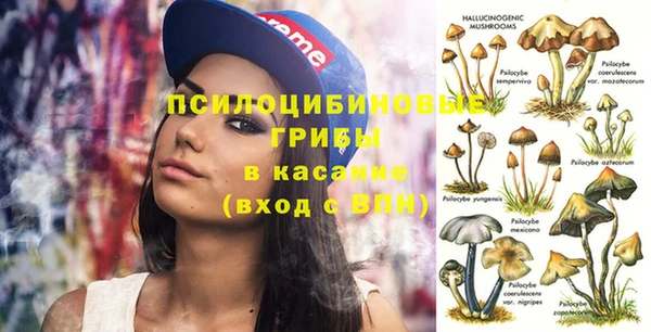 apvp Алексеевка