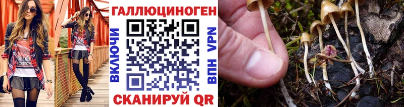 Галлюциногенные грибы Psilocybine cubensis  mega ССЫЛКА  Лагань 
